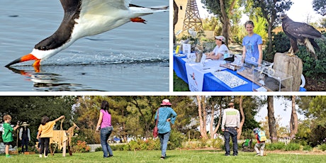 Birds of the Bay: Spring, History & Games (Family-friendly) primary image