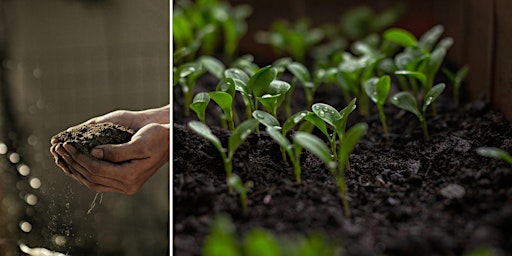 Imagem principal do evento No-Till Gardening with Cardboard and Compost