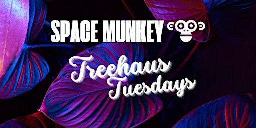 Primaire afbeelding van TreeHaus Tuesdays  - Curated by Space Munkey