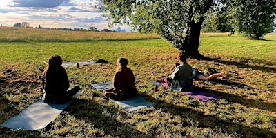 Primaire afbeelding van Nature Connection: Wholeness and Healing