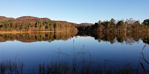 Primaire afbeelding van The Story of Loch of the Lowes