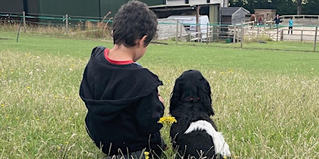 PRICE Training - For Equine & Animal Ass. Therapists to keep Children Safe.