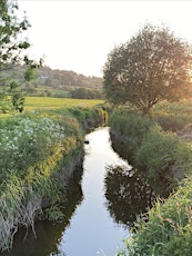 Springtime Wellness Walk