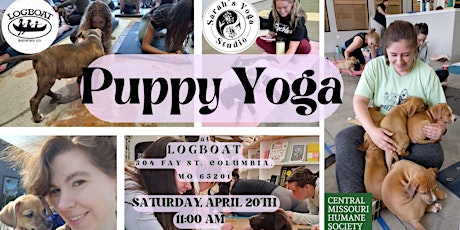 Puppy Yoga at Logboat with Sarah's Yoga Studio