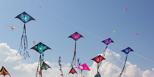 Primaire afbeelding van Level Up Life - Summer Side Quests - Kite Flying