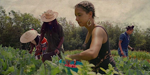 Farming While Black primary image