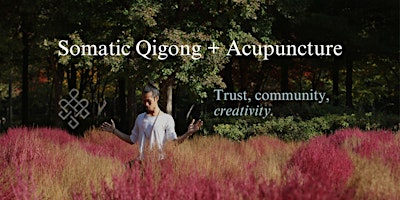 Primaire afbeelding van Somatic Qigong + Acupuncture