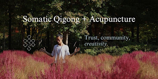 Imagem principal do evento Somatic Qigong + Acupuncture