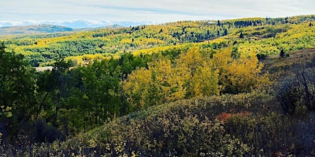 Mother's Day Forest Bathing Walk at ASCCA