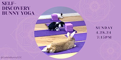 Imagem principal do evento Self-Discovery Bunny Yoga