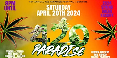 Imagem principal de 420 PARADISE FESTIVAL