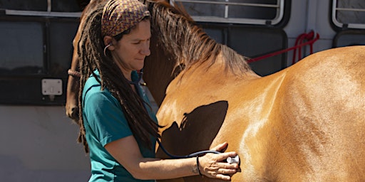 Image principale de Basic Equine First Aid
