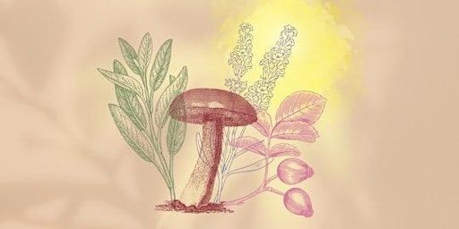 Image principale de Botany & Plant Identification with Lanny Kaufer