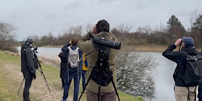 Hauptbild für Business Birdwatching (Editie 2)