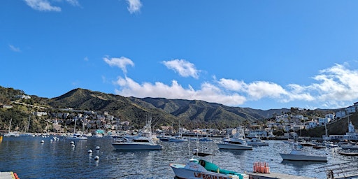 Image principale de Catalina Scavenger Hunt Walking Tour & Game