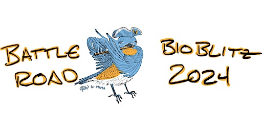 Imagem principal do evento Battle Road BioBlitz 2024: World Migratory Bird Day