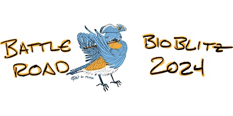 Battle Road BioBlitz 2024: World Migratory Bird Day