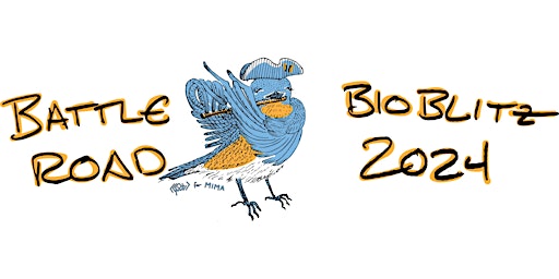 Immagine principale di Battle Road BioBlitz 2024: World Migratory Bird Day 