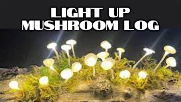 Light Up Mushroom Log Craft primary image