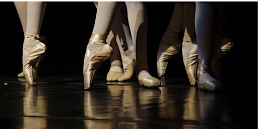 Adult Ballet Classes primary image