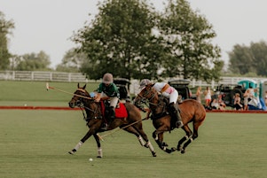 Wine Down Wednesday Polo | July 31 primary image