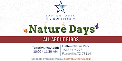 Nature Days- All About Birds primary image