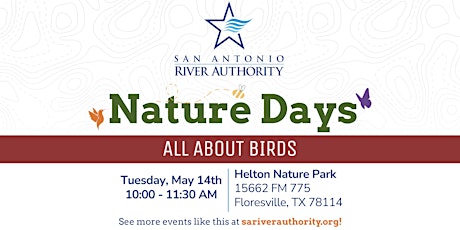 Nature Days- All About Birds