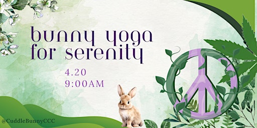 Imagem principal do evento Bunny Yoga for Serenity with Kathy