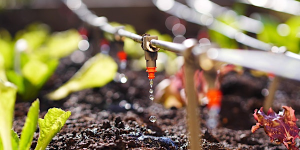 Water Reuse For Agriculture: What Growers Need to Know