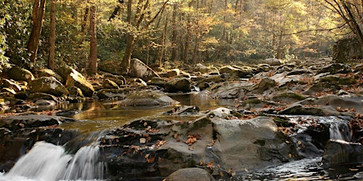Immagine principale di Nature-Based Wellbeing Retreat 