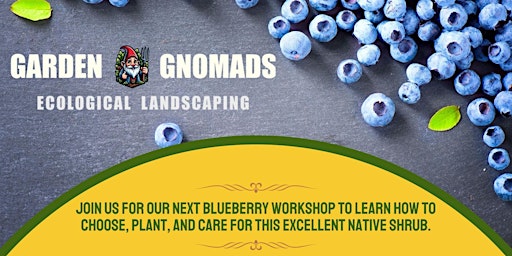 Imagem principal do evento Blueberries Abuzz