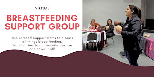 Immagine principale di Breastfeeding Support Group - Virtual 