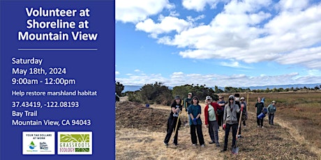 Image principale de Volunteer Outdoors in Mountain View: Shoreline Marsh Habitat Restoration