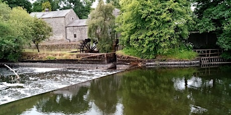 Martry Mill bread baking experience