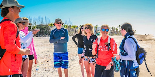 Hauptbild für Earth Week BioBlitz Beach Walk