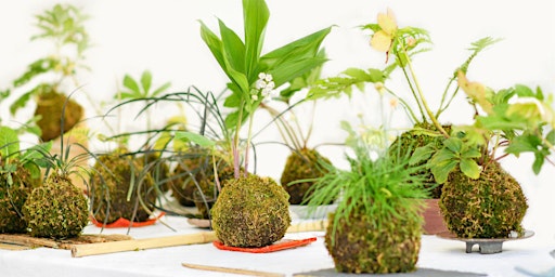 Primaire afbeelding van Earth Day: Kokedama Ball Workshop (Plant Workshop) w/ Dahhee