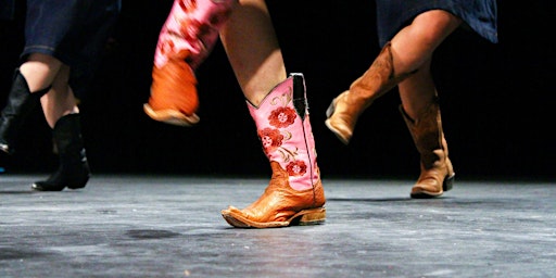 Primaire afbeelding van Learn the Texas Hold'M Line Dance with the Fritz Family