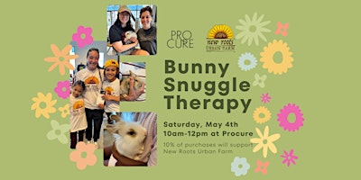 Imagen principal de Bunny Snuggle Therapy