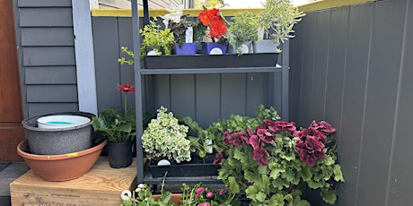 Beginner Workshop: Patio Planter Arrangements