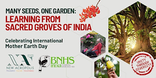 Imagem principal de Many Seeds, One Garden: Learning from Sacred Groves of India