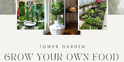 Imagen principal de Tower Garden Workshop - Grow your own food!