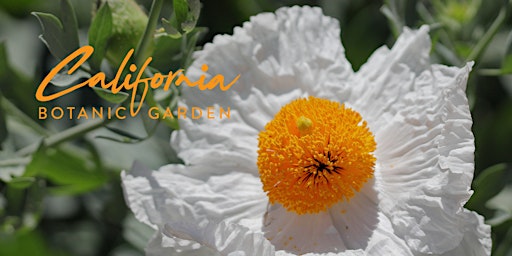 Hauptbild für California Botanic Garden Event Showcase