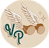 Visual Philosophy's Logo