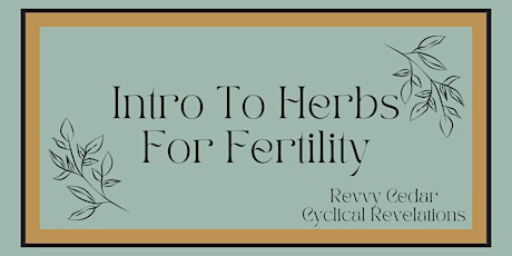 An Intro to Herbs For Fertility