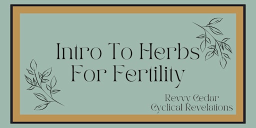 Imagen principal de An Intro to Herbs For Fertility