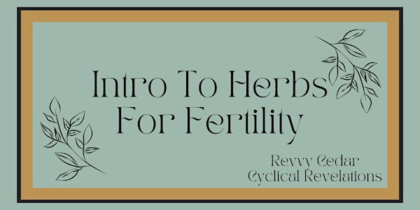An Intro to Herbs For Fertility