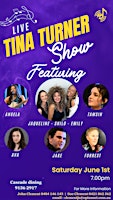 The Tina Turner Show  primärbild