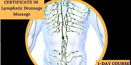 Manual Lymphatic Drainage Course 22/07/2024