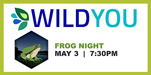 Image principale de Frog Night 2024