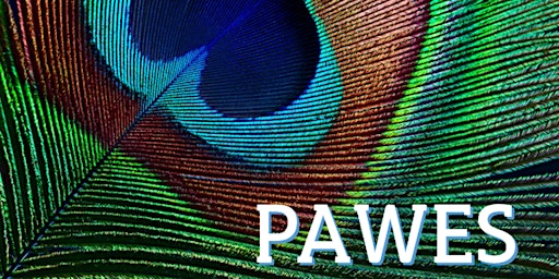 Program in Animal Welfare, Ethics and Science - PAWES primary image